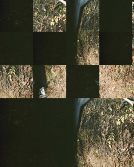 contact: moritzdeuerlein@gmx.de  +49 15174502055